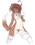  &lt;3 2017 ahoge anthro areola bikini breasts brown_fur brown_hair canine clothed clothing countershading dipstick_tail female front_view fur green_eyes hair hi_res kess_(coffeechicken) legwear mammal multicolored_tail navel nipples open_mouth panties portrait ribbons short_hair simple_background skimpy slugbox small_breasts solo standing string_bikini striped_panties sweat swimsuit thigh_highs three-quarter_portrait tongue tongue_out underwear white_background white_fur 