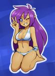  1girl bikini image_sample shantae_(character) shantae_(series) solo swimsuit tumblr_sample 