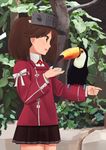  bird brown_hair brown_skirt commentary cowboy_shot cup fuyube_gin_(huyube) holding holding_cup kantai_collection magatama pleated_skirt ryuujou_(kantai_collection) short_hair skirt toucan twintails visor_cap 