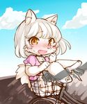  artist_request brown_eyes cat furry open_mouth riding transparent_hand white_hair 