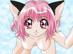  ichigo_momomiya tagme tokyo_mew_mew 