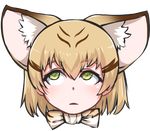  animal_ears blonde_hair blush brown_hair cat_ears close-up closed_mouth disco_brando eyebrows_visible_through_hair green_eyes kemono_friends looking_away multicolored_hair rolling_eyes sand_cat_(kemono_friends) sand_cat_print short_hair solo upper_body 