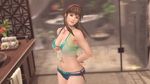  1girl 3d beach bikini breasts brown_hair dead_or_alive dead_or_alive_xtreme_beach_volleyball female hitomi_(doa) indoors large_breasts long_hair official_art plant solo swimsuit tecmo underboob 