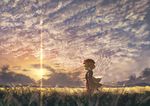  aki_minoriko autumn backlighting berabou blonde_hair cloud cloudy_sky diffraction_spikes dress field food from_side fruit grapes hat long_sleeves looking_to_the_side mob_cap outdoors puffy_sleeves red_eyes red_hat scenery short_hair sky solo standing sunset touhou wide_sleeves wind 
