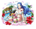  anklet arm_support armlet barefoot bikini bird blue_hair bodskih bracelet breasts brown_eyes carue cleavage coller eyewear_on_head fisheye floating_hair flower groin hair_flower hair_ornament halterneck hibiscus jewelry large_breasts lei long_hair looking_at_viewer navel nefertari_vivi one_piece pool red_flower sitting smile soaking_feet solo sunglasses swimsuit transparent_background very_long_hair white_bikini yokozuwari 