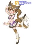  animal_ears bal_panser blush bracelet brown_hair dancing fang full_body fur_trim highres indian_wolf_(kemono_friends) japari_symbol jewelry kemono_friends long_hair looking_at_viewer midriff multicolored_hair navel open_mouth orange_eyes ponytail simple_background solo tail thighhighs two-tone_hair white_background white_hair wolf_ears wolf_tail 