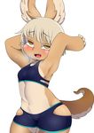  absurd_res anthro athletic berseepon09 blush bra breasts brown_fur clothing female fur grey_hair hair hi_res horizontal_pupils lagomorph made_in_abyss mammal midriff nanachi open_mouth rabbit simple_background small_breasts solo sports_bra sweat underwear white_background wide_hips yellow_eyes young 