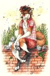 2017 ambiguous_gender anthro avian barefoot bird black_nose brown_fur canine day digitigrade duo feral fox fuckie fur grass male mammal nesting outside red_fox traditional_media_(artwork) white_fur 