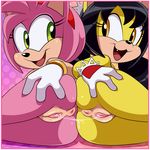  2017 amy_rose anthro anus ass_to_ass butt duo fangs female hedgehog honey_the_cat lonbluewolf mammal mobian_(species) open_mouth presenting presenting_anus presenting_pussy pussy pussy_juice pussy_juice_string sonic_(series) teeth tongue toony 