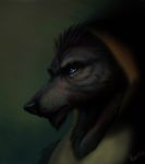  anthro black_fur blue_eyes bust_portrait canine fur hood kahito_slydeft_(artist) male mammal portrait solo wolf 