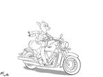  2016 4:3 abs anthro arms_around_torso canine disney driving duo eyes_closed female fox fur greyscale half-closed_eyes hi_res judy_hopps lagomorph male mammal monochrome motorcycle mr._struggle muscular nick_wilde rabbit smile tail_around_waist vehicle zootopia 