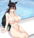  1girl animal_ears arm_support atago_(azur_lane) azur_lane bikini bikini_top black_hair blush bottomless breasts brown_eyes choker collarbone curvy erect_nipples female flower hair_ornament huge_breasts long_hair navel paundo2 pool sitting solo swimsuit thighs water white_bikini white_swimsuit 