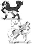  1boy 1girl animal_ears arrow blush claws dog dog_ears dog_tail feet flying_sweatdrops full_body furry greyscale grin half-closed_eyes hand_up heart looking_to_the_side lycanroc mightyena monochrome negoya no_humans paws pokemon pokemon_(creature) pokemon_rse pokemon_sm simple_background smile standing sweat tail teeth white_background wolf wolf_ears 