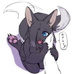  anthro black_fur blue_eyes blush canid canine claws female fluffy fluffy_tail fur hair long_hair long_tail mammal misleading_thumbnail olva_(character) ookamikurepu pawpads scar tailwag tuft 