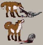  alsek ambiguous_gender black_nose blood blood_on_face brown_fur brown_tail canid canine canis death digital_media_(artwork) eris feral fox fur gore green_eyes hard_vore hybrid lemondeer mammal simple_background size_difference teeth tongue vore wolf 