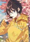  blouse breasts brown_eyes brown_hair candy cherry_blossoms eating food holding_candy hood hooded_jacket jacket long_sleeves looking_at_viewer medium_breasts open_mouth outdoors railing short_hair solo tsukugu upper_body yellow_jacket 