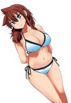  1girl alone arms_behind_back bikini breasts brown_hair cleavage curvy female green_eyes hips large_breasts long_hair navel notebook simple_background smile solo standing stomach thighs white_background 