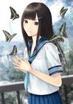  black_eyes black_hair blurry blurry_background bug butterfly day fingers_together hair_ornament hairclip hami_(hami-gerden) highres insect long_hair looking_at_viewer original outdoors railing school_uniform serafuku solo standing steepled_fingers uniform 
