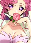  bangs blush breasts cleavage close-up closed_mouth code_geass collarbone creayus double_bun dress euphemia_li_britannia flower hand_up holding holding_flower large_breasts long_hair looking_at_viewer open_clothes open_dress pink_background pink_flower pink_hair pink_rose purple_eyes rose simple_background smile solo 