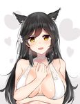  :d absurdres animal_ears atago_(azur_lane) azur_lane bare_arms bare_shoulders between_breasts bikini_top blush breasts brown_hair choker commentary_request extra_ears flower hair_flower hair_ornament halterneck hand_between_breasts hand_on_own_chest heart heart-shaped_pupils heart_background highres kurigura_(sketch_san) large_breasts long_hair mole mole_under_eye open_mouth shiny shiny_skin smile solo swimsuit symbol-shaped_pupils upper_body white_bikini_top white_neckwear yellow_eyes 