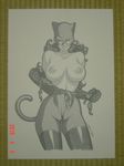  catwoman daikon dc tagme 