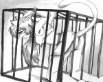  anthro bdsm black_and_white blush bondage bound butt cage cat clothing collar ear_piercing exposed feline female mammal monochrome piercing raised_tail skirt solo submissive_female sue-chan_(artist) torn_clothing trapped 