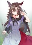  animal_ears asuzemu blush breasts brooch brown_hair collarbone commentary_request cowboy_shot dress fangs imaizumi_kagerou jewelry long_hair long_sleeves looking_at_viewer medium_breasts parted_lips red_eyes smile solo tail touhou wavy_hair wide_sleeves wolf_ears wolf_tail 