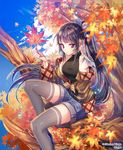  black_hair blue_sky company_name copyright_name day in_tree interitio leaf maple_leaf official_art pink_eyes ponytail short_shorts shorts sid_story sitting sitting_in_tree sky solo thighhighs tree twitter_username 