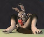  3d_(artwork) adamb/fluffy animal_genitalia animal_pussy anthro blender_(software) canine canine_dildo canine_pussy claws digital_media_(artwork) dildo dipstick_ears disney female female/female fur judy_hopps lagomorph looking_at_viewer lying mammal mostly_nude nude on_back penetration purple_eyes pussy rabbit sex_toy size_difference smile spread_legs spreading toe_claws toying_partner vaginal vaginal_penetration wolf zootopia 