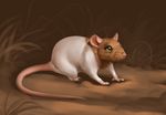  2017 akineza ambiguous_gender brown_fur digital_media_(artwork) feral fur grass green_eyes mammal rat rodent solo whiskers white_fur 
