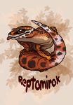  2017 akineza ambiguous_gender brown_eyes digital_media_(artwork) eublepharis feral lizard reptile scalie simple_background solo tongue 