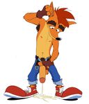  bandicoot crash_bandicoot crash_bandicoot_(series) erection fur humanoid_penis male mammal marsupial mudhound peeing penis simple_background solo toony urine video_games white_background 