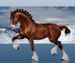  2016 ambiguous_gender ariesredlo black_hooves black_mane black_tail brown_eyes brown_fur cloud clydesdale detailed_background digital_media_(artwork) draft_horse equine feathering feral fur hooves horse mammal mane mountain multicolored_fur photo_background quadruped rannik side_view sky snout snow solo tail_wraps white_fur wraps 