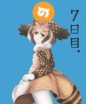  blue_background blush brown_coat brown_eyes brown_hair buttons clothes_grab coat cowboy_shot eurasian_eagle_owl_(kemono_friends) eyebrows_visible_through_hair from_side fur_collar gloves hair_between_eyes head_wings highres japari_symbol kemono_friends long_sleeves looking_at_viewer looking_to_the_side multicolored_hair pantyhose short_hair smile solo tail_feathers temari_rin white_gloves white_hair white_legwear 