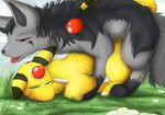  ampharos blackfury mightyena nintendo pokemon 