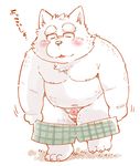  2015 anthro balls belly blush boxers_(clothing) canine clothing eyewear garouzuki glasses male mammal old overweight penis simple_background slightly_chubby solo underwear undressing white_background wolf 