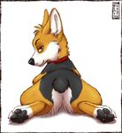  ambiguous_gender butt canine corgi dan dog fluffy mammal pawpads paws remywolf solo sploot toony 