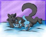  age_difference ageplay anal anal_penetration anthro arctic_fox balls bed big_dom_small_sub black_fur blue_eyes blue_fur butt canine cum cum_in_ass cum_inside cum_on_balls cum_on_body cum_on_butt cum_on_feet cum_on_self cum_while_penetrated duo erection fox fur hands-free happy interspecies knot knotting lunamuenster lying male male/male mammal nintendo on_side orgasm paws penetration penis petting pok&eacute;mon pok&eacute;mon_(species) pok&eacute;philia raised_leg riolu sex sinopa_wicasa size_difference size_play small_sub smaller_male trainer video_games 