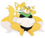  anthro archie_comics belly big_belly blue_eyes blush breasts canine chest_tuft chinchilla clothing cute digital_media_(artwork) duo embarrassed female fox fur gloves hi_res love_handles male mammal miles_prower multi_tail obese open_mouth overweight overweight_female rodent romantic_couple simple_background sonic_(series) squishy sssonic2 sweat thunderbolt_the_chinchilla tuft underwear white_background yellow_fur 