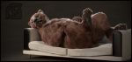  3d_(artwork) anthro anus anya bear black_nose brown_fur butt cosmiclife digital_media_(artwork) feet female feral fur lying mammal on_back open_mouth paws pinup pose pussy realistic semi-anthro smile sofa solo spread_legs spreading teeth 