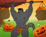  abs anthro biceps bulge butt canine clothed clothing food fruit halloween holidays huge_muscles hyper hyper_muscles male male_focus mammal muscular nipples pecs pumpkin silversketch solo topless underwear wolf 
