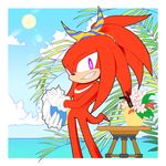  2017 clothing echidna gloves hi_res knuckles_the_echidna male mammal monotreme simple_background sonic_(series) summer tteum93 