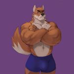  anthro bulge canine clothed clothing crossed_arms fur julicat male mammal muscular muscular_male navel otake solo tight_clothing topless 