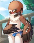  2017 ambiguous_gender anthro avian blush brown_eyes brown_feathers bulge c-string chest_tuft clothing cub detailed_background feathers male mammal outside public signature solo standing tuft underwear unrealplace watermark wings young 