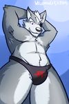  absurd_res anthro canine clothing eyewear hi_res male mammal mostly_nude muscular muscular_male nintendo solo speedo star_fox swimsuit ventkazemaru video_games wolf wolf_o&#039;donnell 