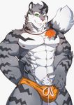  2017 abs anthro biceps clothing feline fur green_eyes hi_res littleblackalas looking_at_viewer male mammal muscular muscular_male nipples paws solo swimsuit 