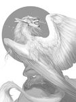  claws digital_media_(artwork) dragon feathered_dragon feathered_wings feathers feral greyscale hair isvoc monochrome open_mouth solo viel white_feathers white_hair wings 