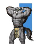 2017 abs absurd_res anthro belt biceps big_muscles brown_fur canine chest_tuft clothed clothing digital_media_(artwork) flexing fur grey_fur handband headband hi_res horkeukamui loincloth looking_at_viewer male mammal multicolored_fur muscular muscular_male nipples obliques pecs piard909 pink_nipples simple_background solo standing tokyo_afterschool_summoners topless triceps tuft white_fur wolf yellow_eyes 