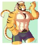  2017 abs anthro biceps big_muscles clothed clothing feline fur hi_res leo_albicans male mammal muscular muscular_male pecs pubes shorts solo tiger topless 