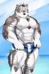  2017 abs anthro biceps canine clothing dragon0324r fur headband hi_res horkeukamui kemono male mammal multicolored_fur muscular muscular_male nipples pecs simple_background solo swimsuit tokyo_afterschool_summoners white_fur wolf 